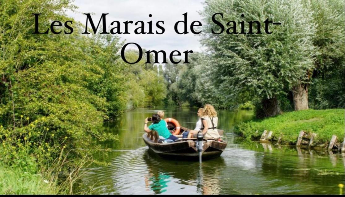 Le Clos Des Bambous Saint-Martin-Lez-Tatinghem Екстер'єр фото