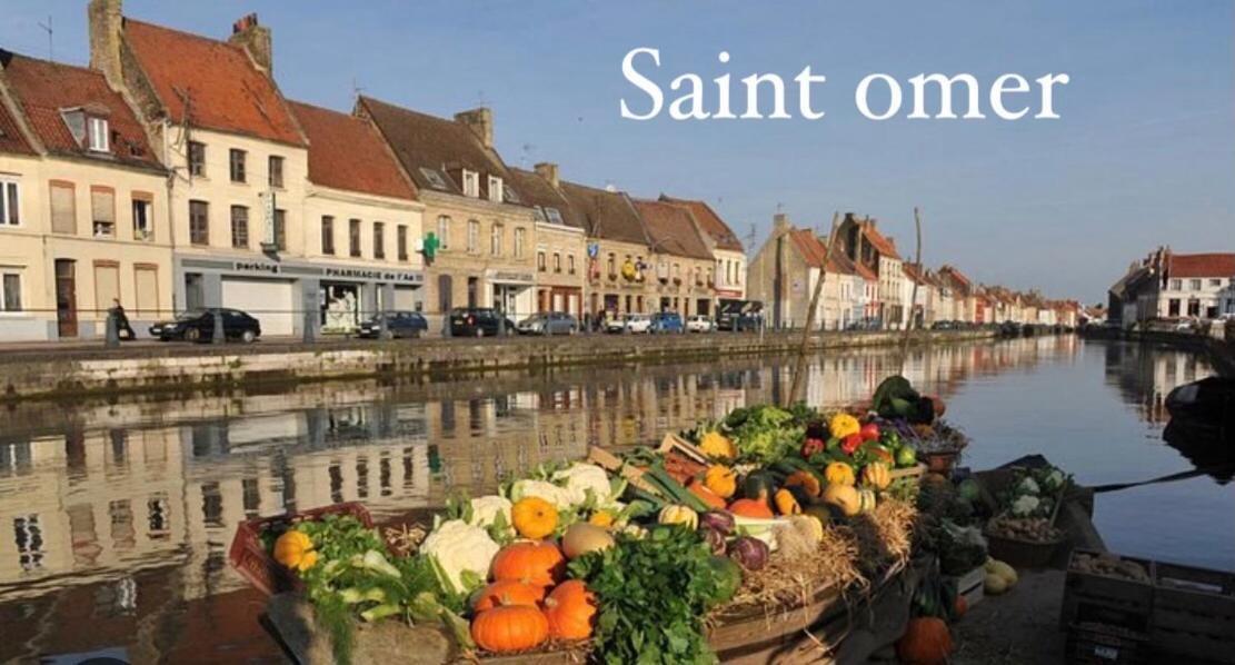 Le Clos Des Bambous Saint-Martin-Lez-Tatinghem Екстер'єр фото