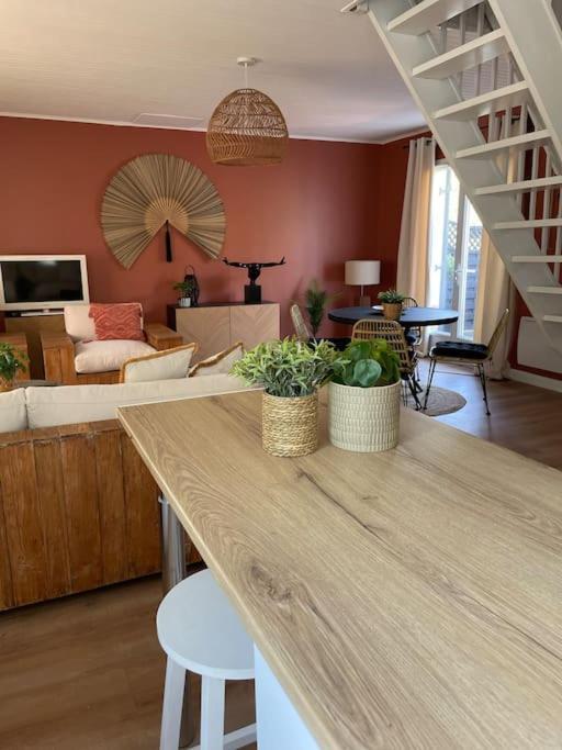 Le Clos Des Bambous Saint-Martin-Lez-Tatinghem Екстер'єр фото